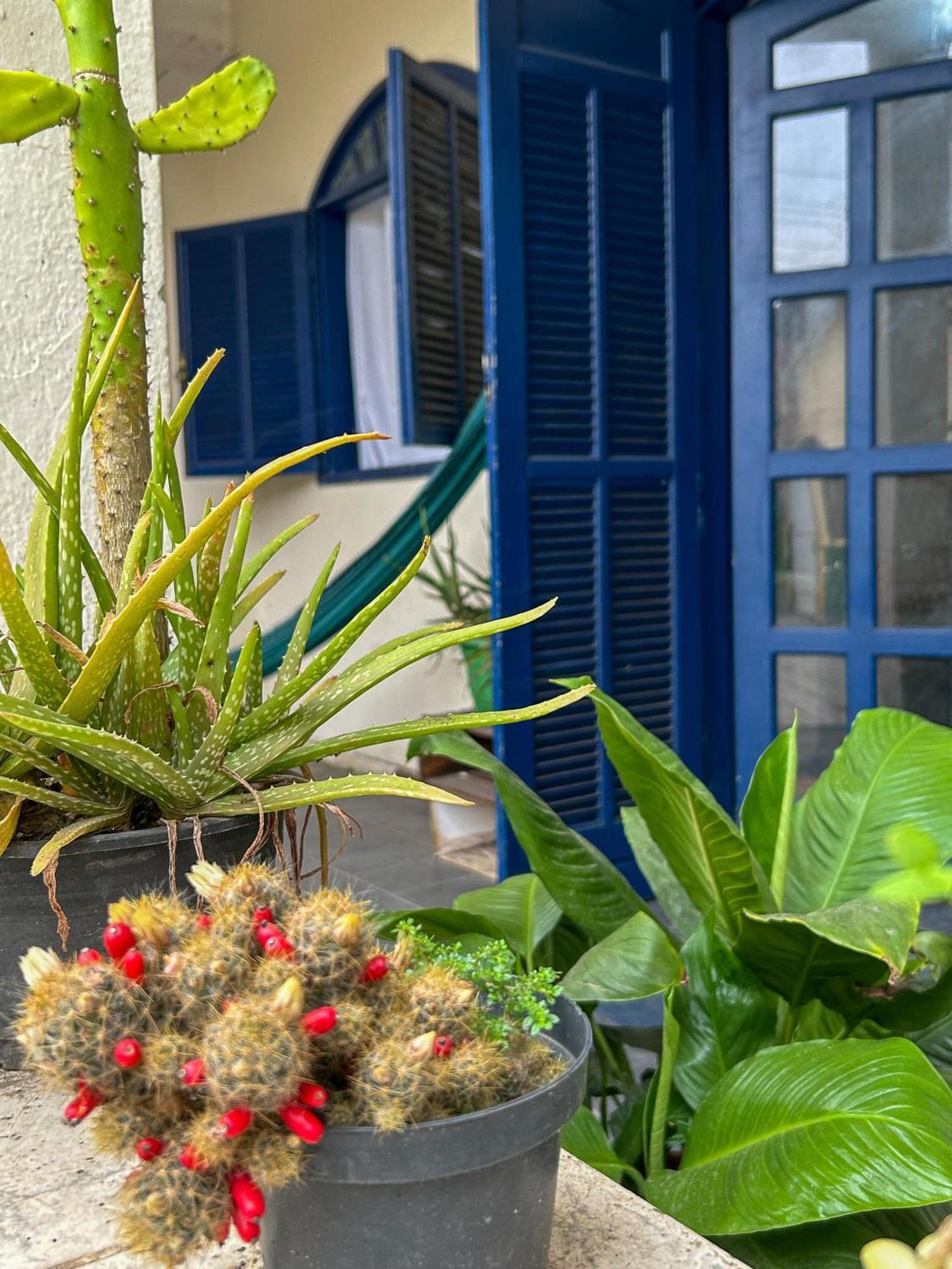 Casa Surya باراتي المظهر الخارجي الصورة